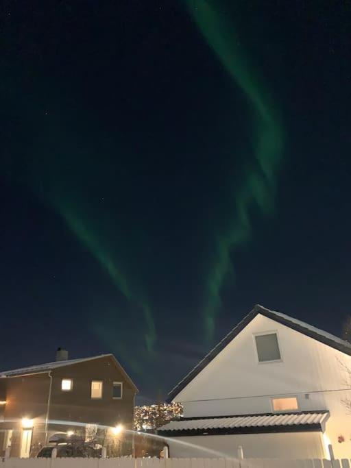 Fin Leilighet I Tromsdalen. Lägenhet Tromsø Exteriör bild